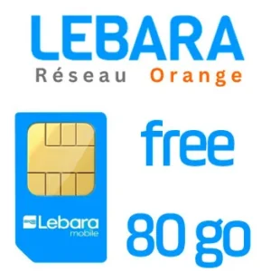 Carte SIM + Forfait Mobile Data 80Go sans Engagement