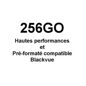 Cartes Mémoires MicroSD 256Go - U3